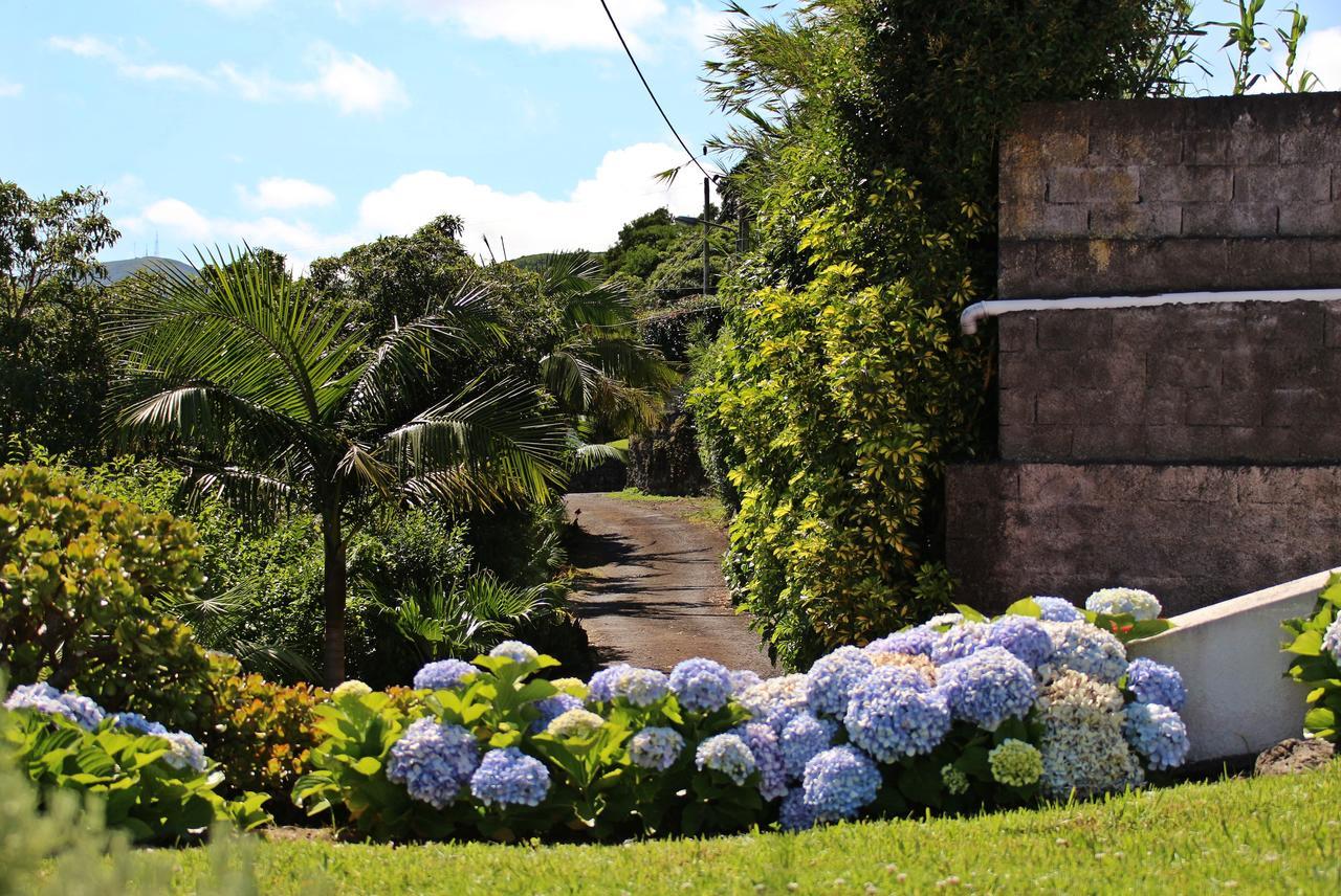 Casas Da Boa Vista Vila Horta  Exterior foto